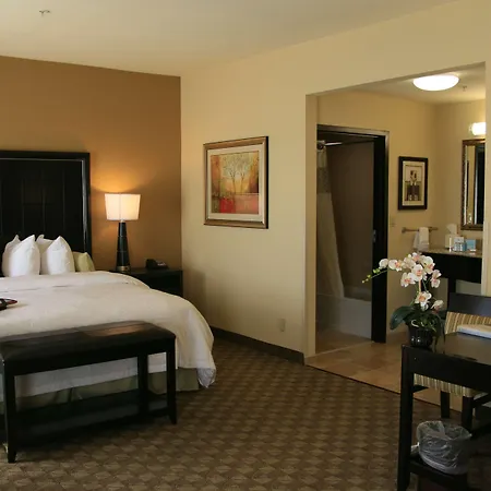Hampton Inn & Suites Mcalester-3